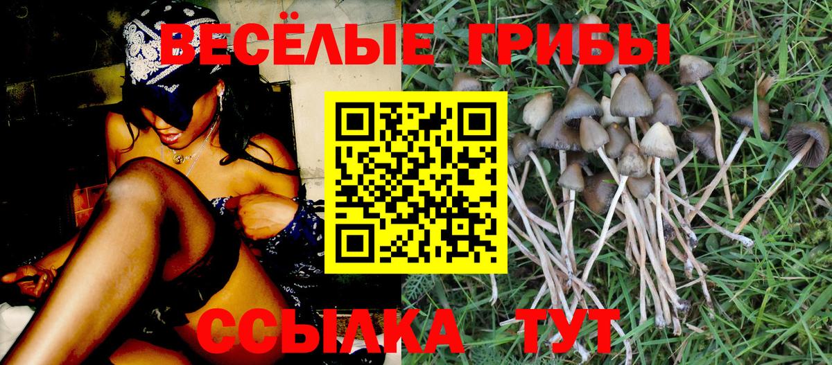 Псилоцибиновые грибы Psilocybine cubensis  Вход с VPN  цены наркотик  Саки 